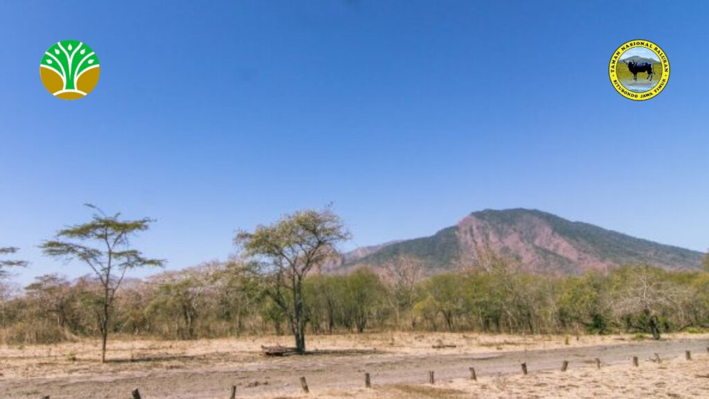 Definisi Konservasi Taman Nasional Baluran
