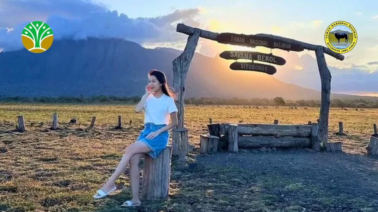 Eksotisme Savana Bekol di Taman Nasional Baluran