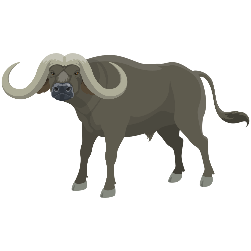 Konservasi In-Situ Banteng Jawa