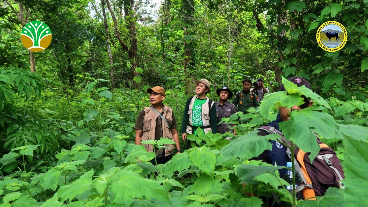 Penelitian dan Pemantauan