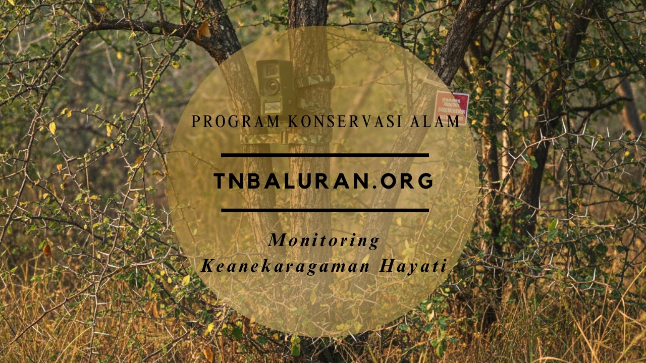 Monitoring Keanekaragaman Hayati taman nasional baluran