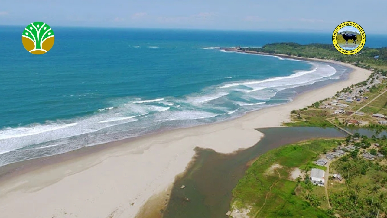 Pantai Sawarna