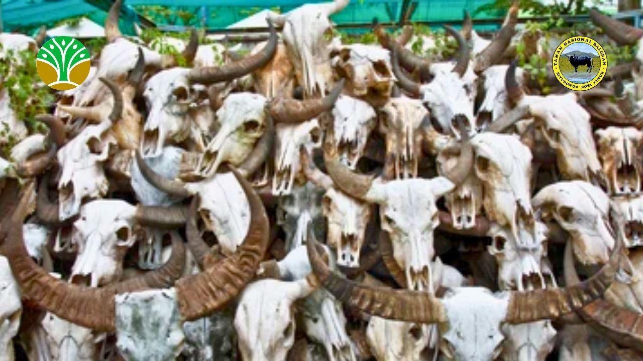 Pengembangan Ekowisata Berbasis Masyarakat