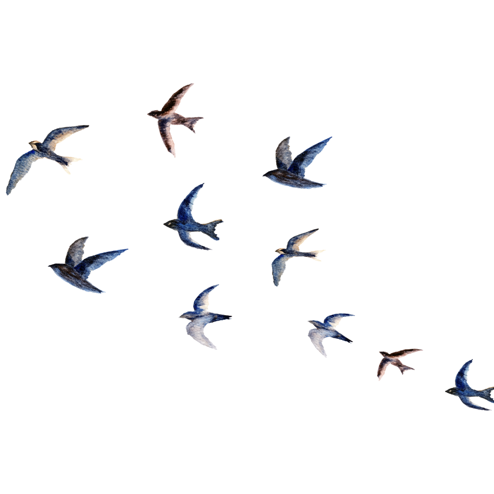 Perlindungan Habitat Burung Migran
