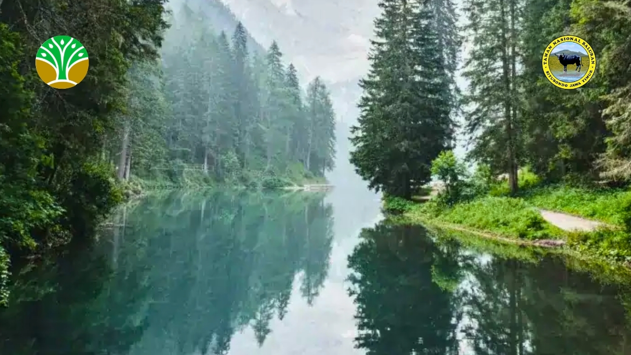 Taman Nasional Aketajawe Lolobata - Maluku Utara