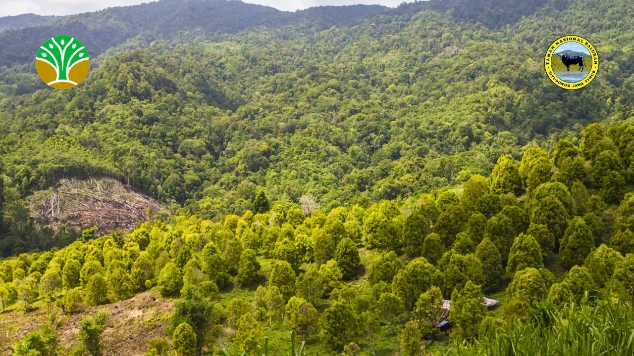 Taman Nasional Bogani Nani Wartabone