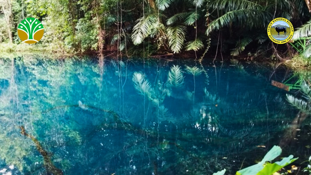 Taman Nasional Laiwangi Wanggameti