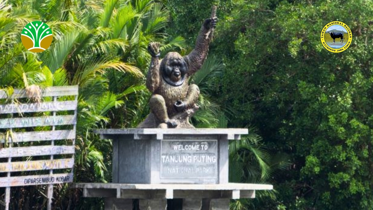 Taman Nasional Tanjung Puting - Kalimantan Tengah