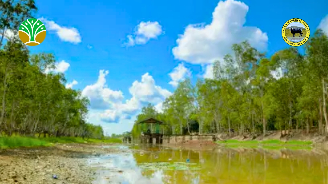 Taman Nasional Wasur
