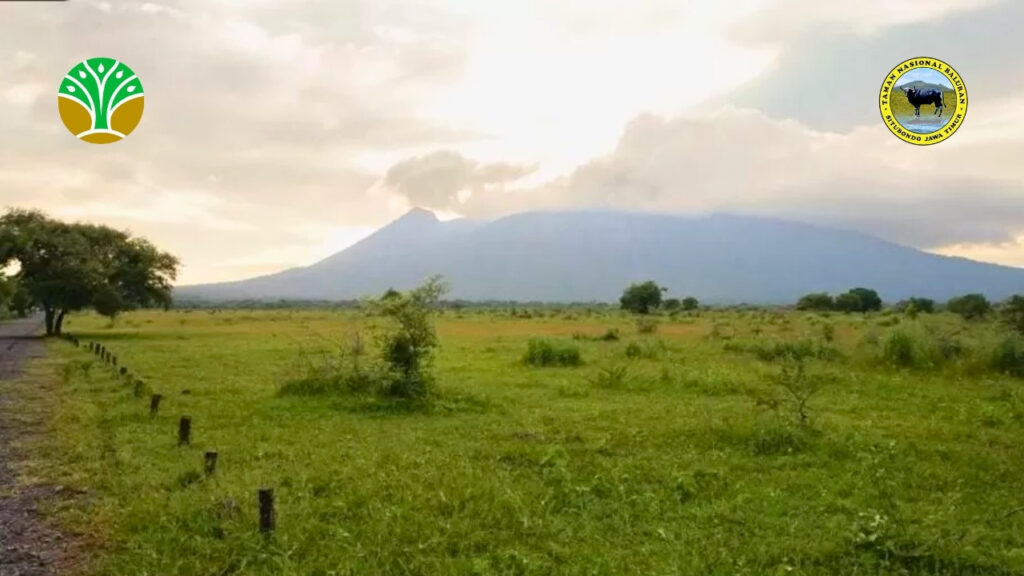 Visi Konservasi Taman Nasional Baluran